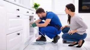 The Importance of Regular Plumbing Maintenance